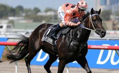 Australian Racing News: Black Caviar dies