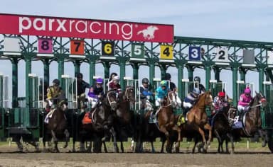 Horse racing news about Parx Racing’s turf races suspended