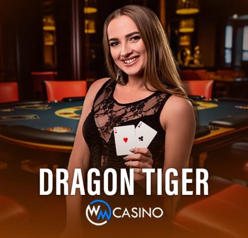 Dragon Tiger online with betting range options