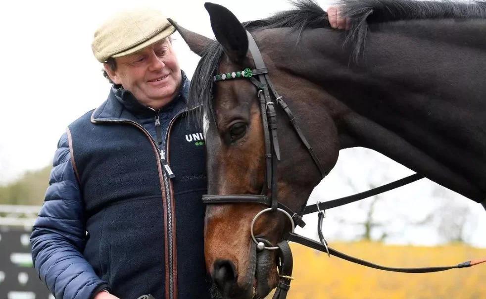 Constitution Hill in the stable, post-wind surgery, getting ready for training.