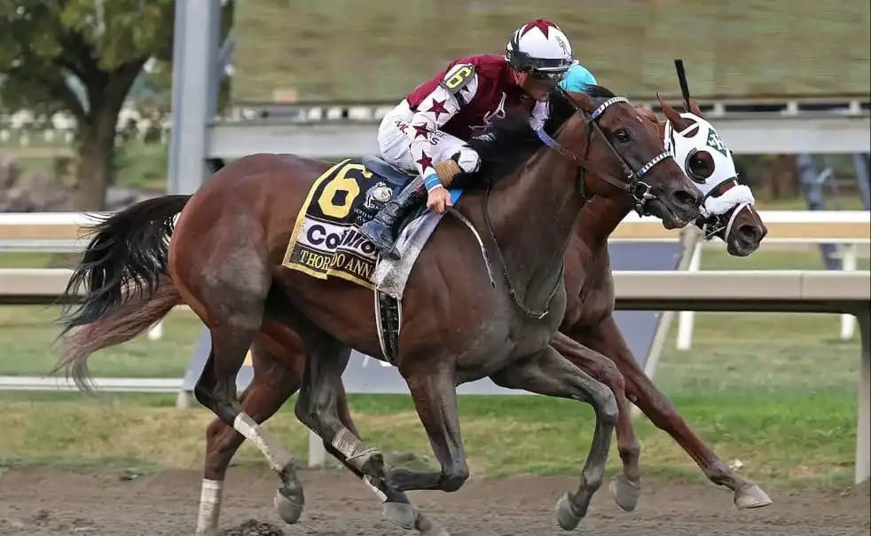 Thorpedo Anna crossing the finish line at the Cotillion Stakes