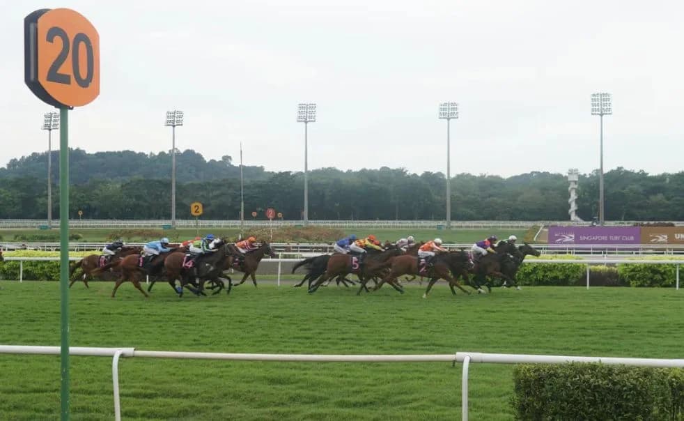 Final Race at Singapore Horse Racing Turf Club