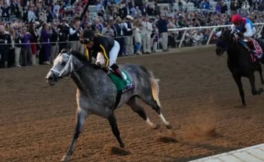 Del Mar hosts Breeders’ Cup 2024