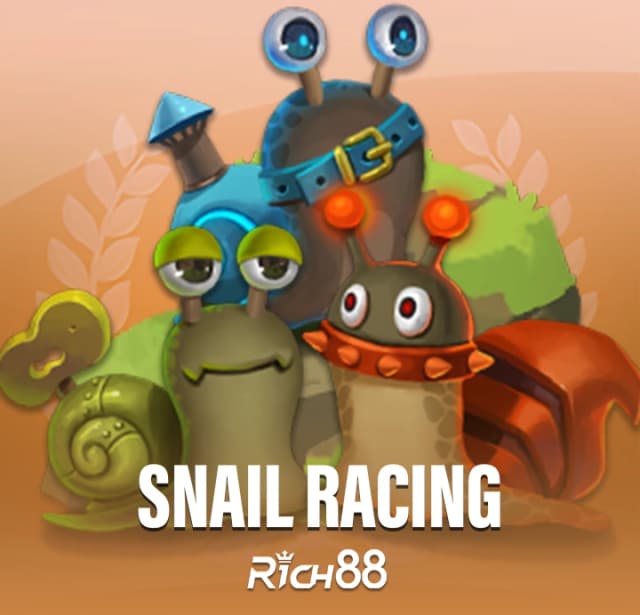 Place bets and enjoy the Snail Racing Game with fun rewards