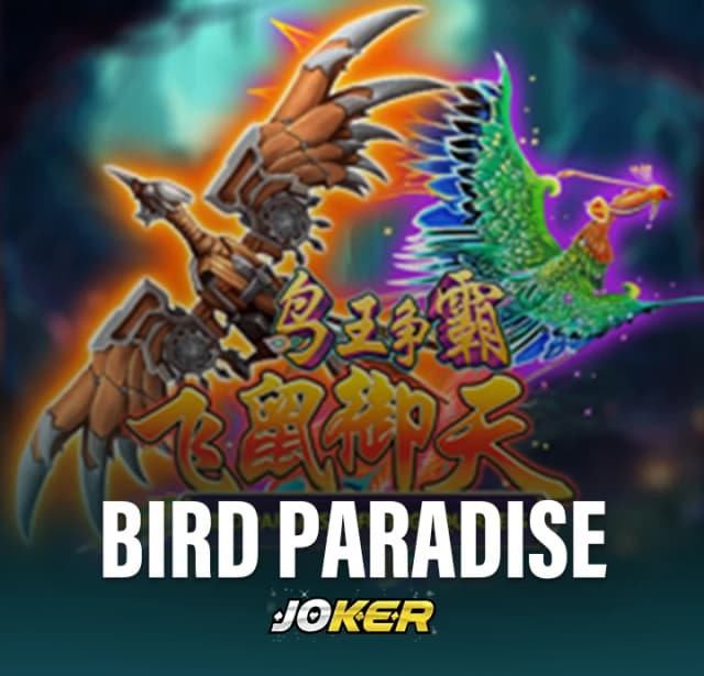 Bird Paradise Review features and rewards