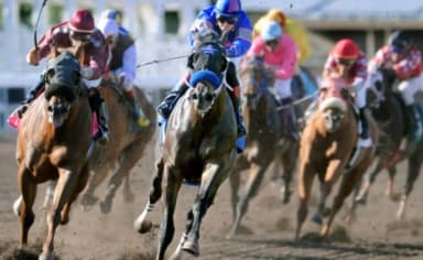 California horse racing decline