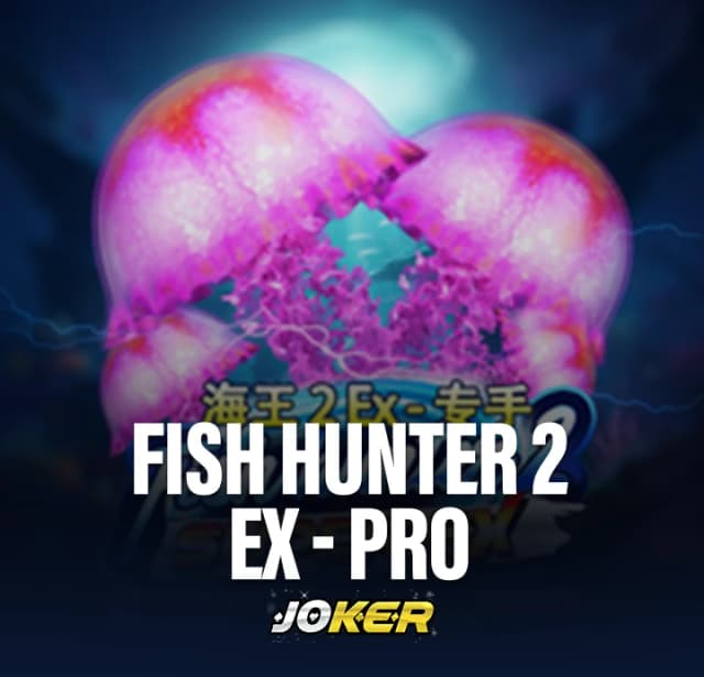 Citinow’s Fish Hunter 2 Ex Pro review