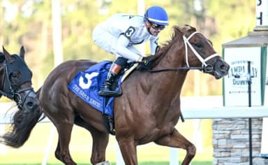 A Horse Racing History event