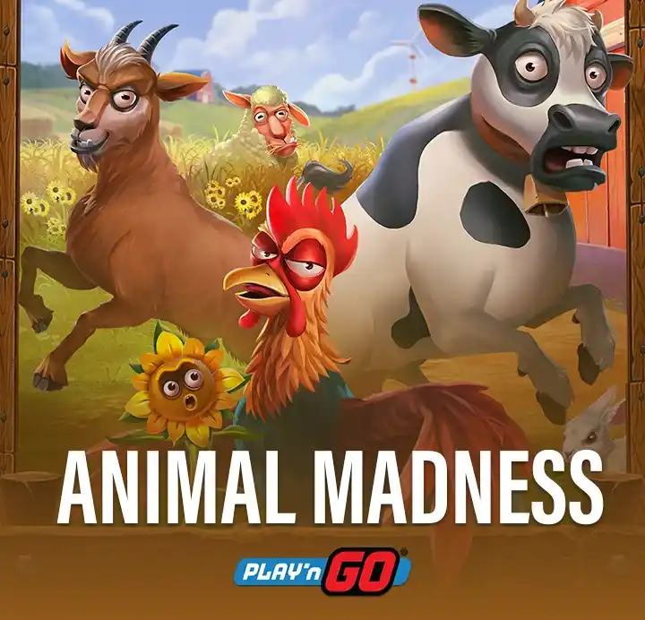 Animal Madness slot casino unlocks wild fun