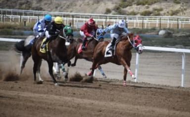 Wyoming LLC formation