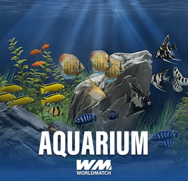 Catch dream wins in the Aquarium slot online