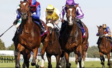 Chester Races 2025 event