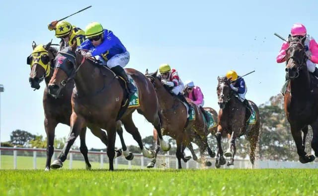 Hamilton Workers Repairing Infrastructure