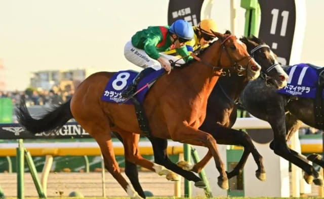 Tokyo Racecourse as horses sprint